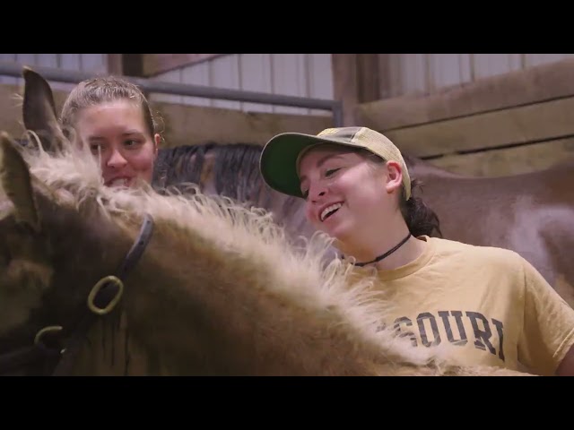 Watch Achieving excellence at Mizzou on YouTube.
