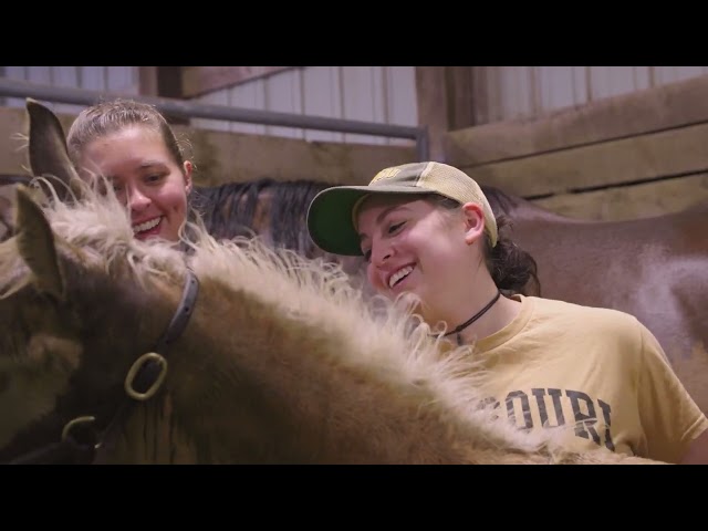 Watch The Mizzou Impact on YouTube.